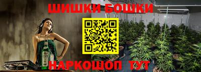 a pvp Славянск-на-Кубани