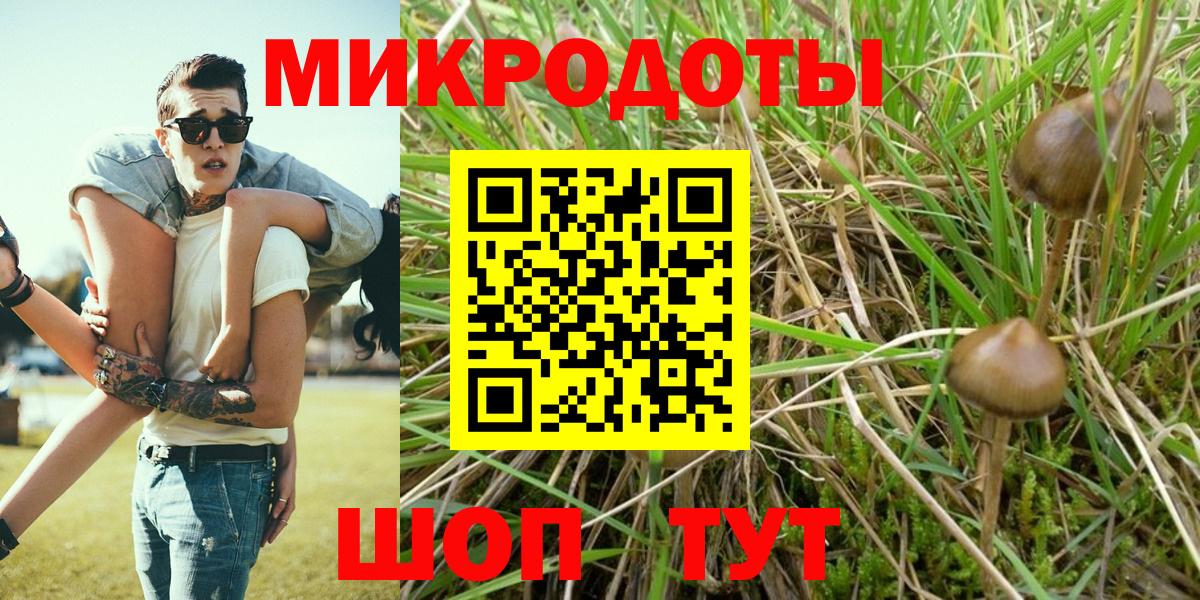 Псилоцибиновые грибы прущие грибы Наро-Фоминск